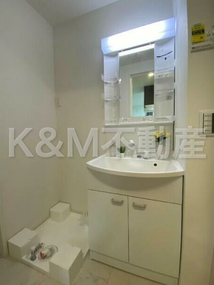 ＫＥＩＡＩ ＲＥＳＩＤＥＮＣＥ 南柏Ⅱ 102 洗面所