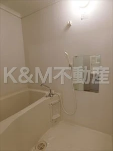 セジュール南柏Ⅰ 101 浴室