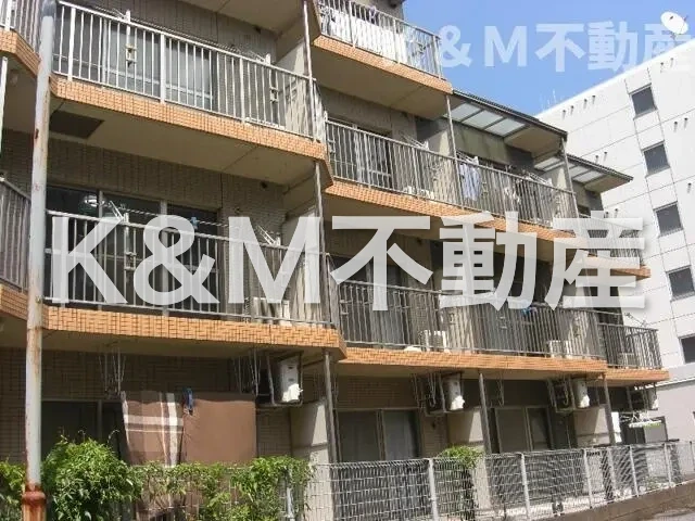 コンブリオ柏 202 外観