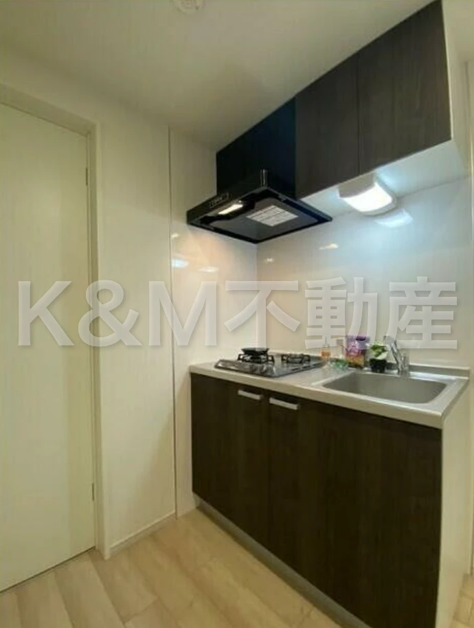 ＫＥＩＡＩ ＲＥＳＩＤＥＮＣＥ 南柏Ⅱ 101 その他