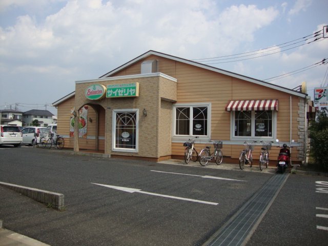 ロイヤル パピヨン 101 その他