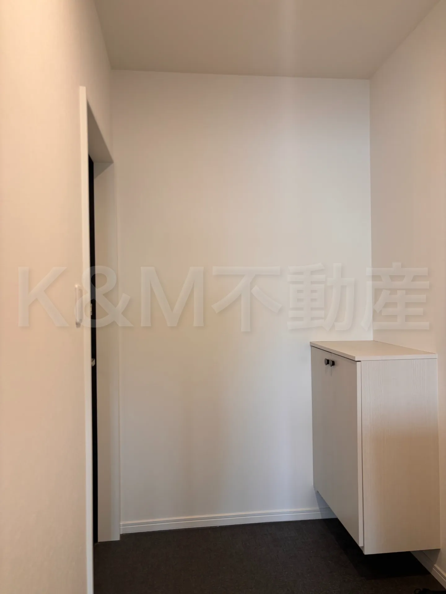 ＡＪ南柏ＳｏｕｔｈＶ 302 玄関