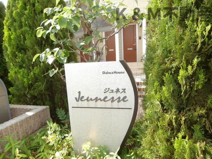ジュネス 203 玄関