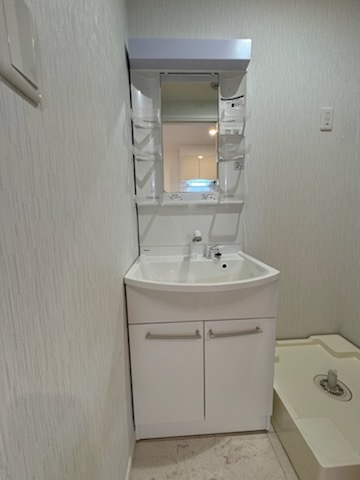 グランパラディソ 204 洗面所