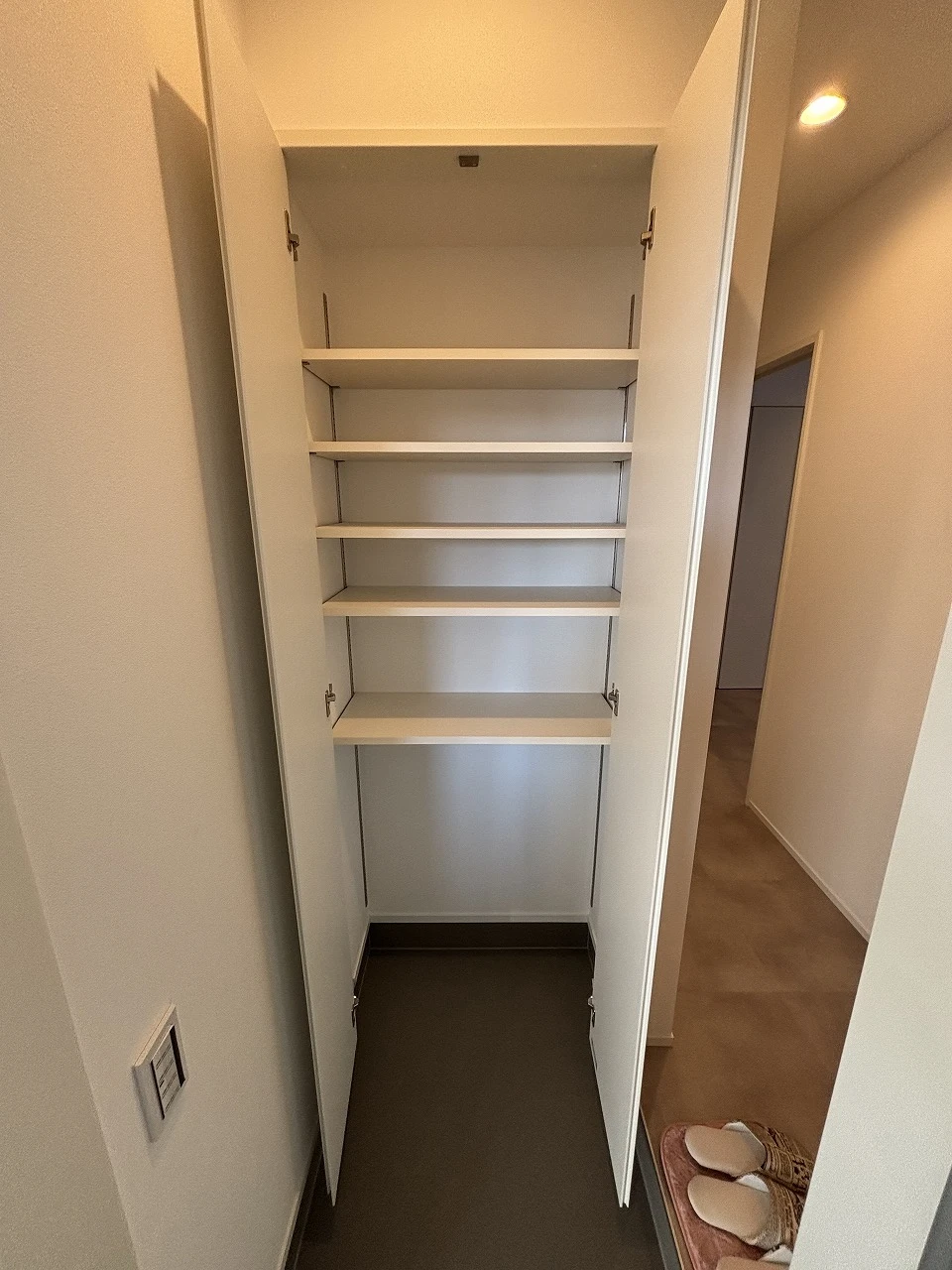 グランクリュ小新 203 収納