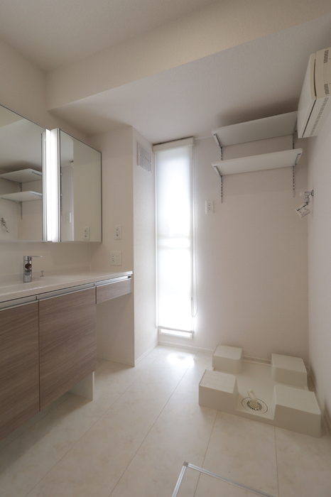 D-ROOM福住 B 301 洗面所