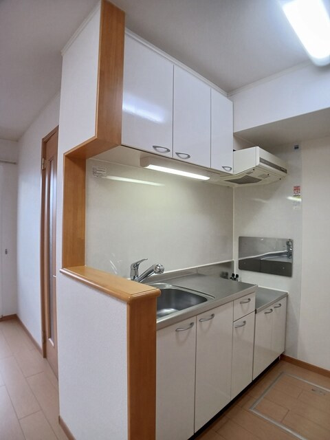 ブルームーンⅡ 102 キッチン