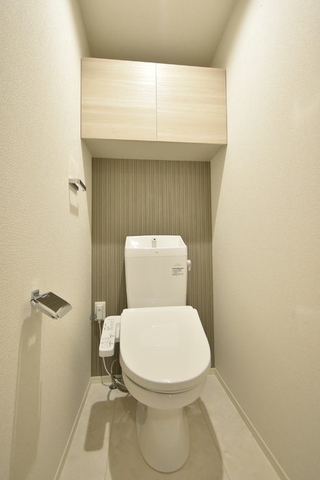 D-ROOM川端町 103 トイレ