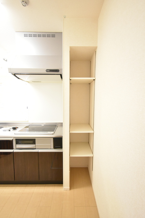 レイクサイド Ａ 101 キッチン