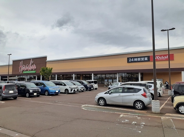 レーガ 204 その他