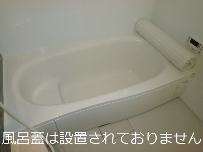 アムール新館 205 浴室