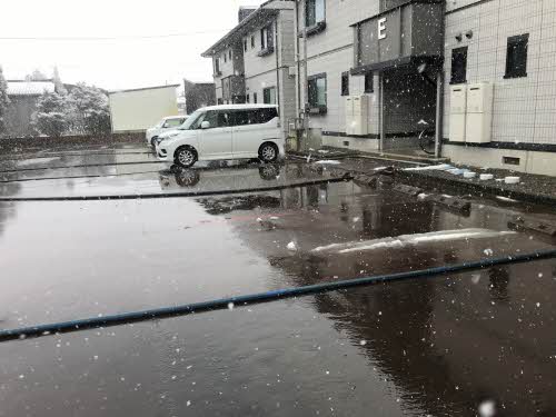 ウイングⅡ　F 102 駐車場