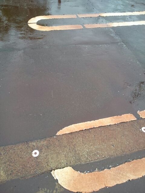 チェスタ仲町 101 駐車場