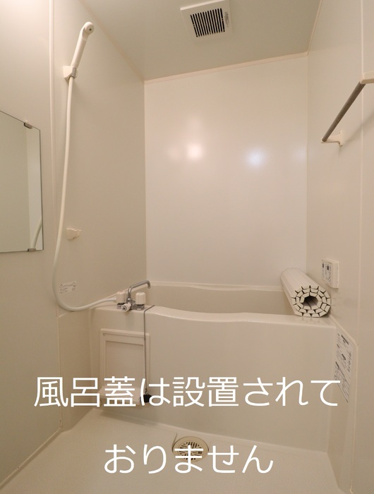 ストリート土合 203 浴室