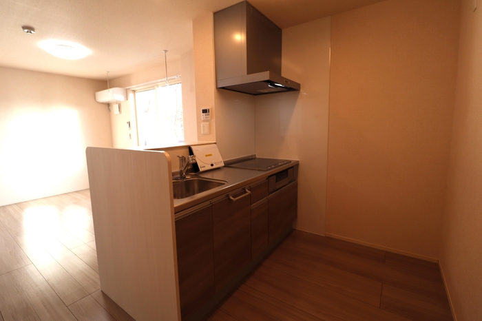 サニーガーデン 202 キッチン