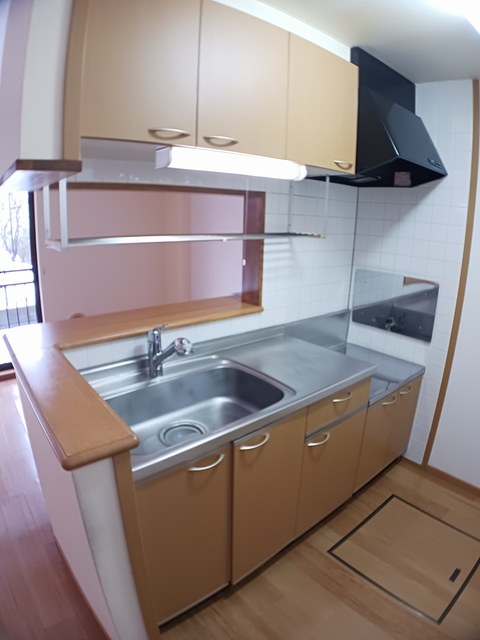 ライツ・レーベン 102 キッチン