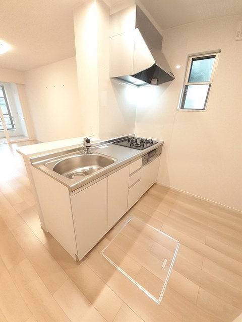 コリーヌⅡ 101 キッチン