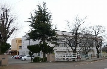 ウイングパレスＡ 203 その他