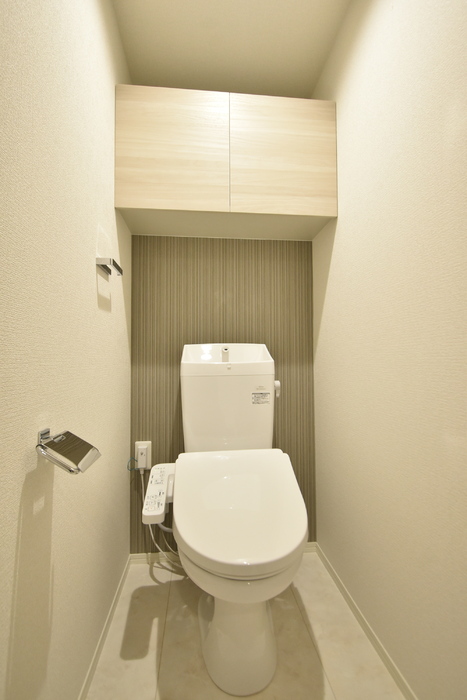 D-ROOM川端町 203 トイレ