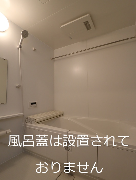 プレミアステイツS 303 浴室