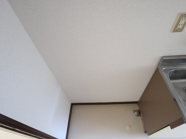 サザンコーポラス　Ⅰ 106 その他部屋・スペース