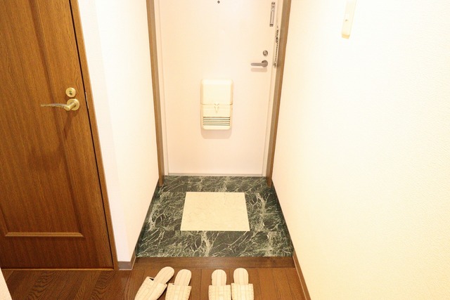 ダイアパレス新大駅前 403 玄関
