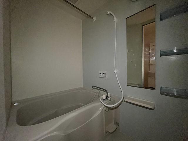 カーサ　アンビエンテ 203 浴室