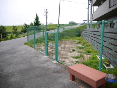 di Colza 401 その他