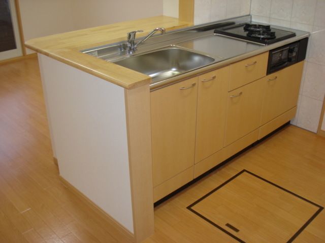 コンシェルジュ 106 キッチン