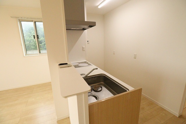 ハイム山 201 キッチン