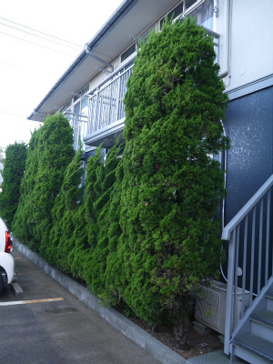 ハウス山伸　A 202 その他