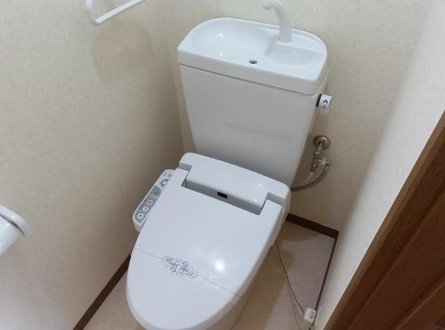 メイセ・サラ 101 トイレ
