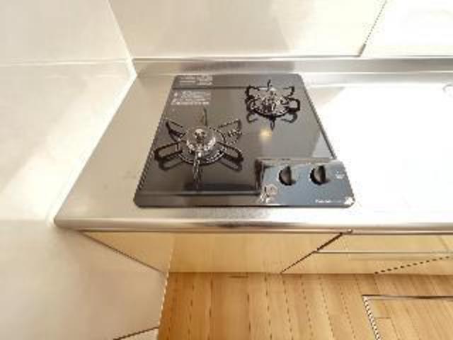 ウェルス　レエルラ 201 キッチン