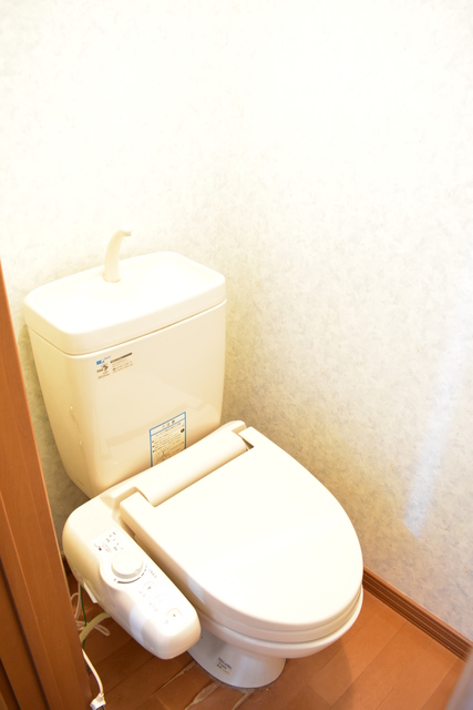 カントリーハイツＢ 205 トイレ