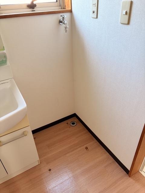 スカイラークヒルズ 102 洗面所