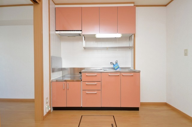 フレンドリーパークＣ 102 キッチン