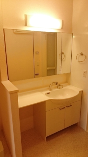 Ｄ－Ｒｏｏｍ・ＳＫ　Ⅳ 102 洗面所