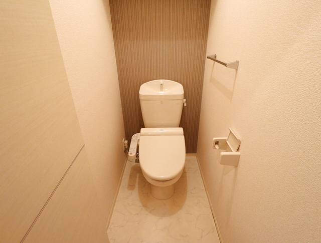 Ｄ-ｒｏｏｍ半田 302 トイレ