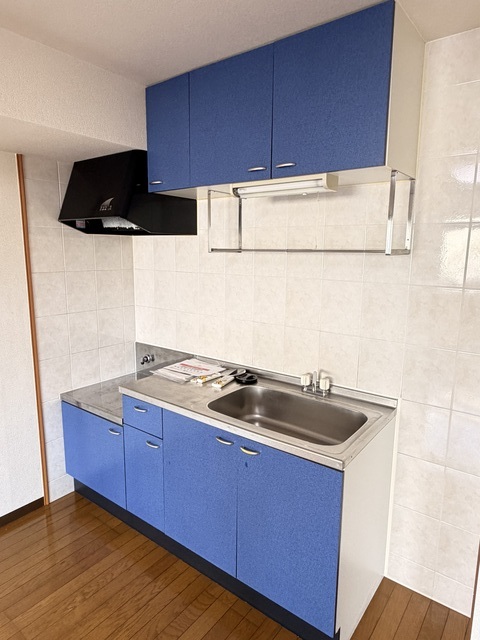 ヒルズオアシス 102 キッチン