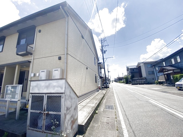 サンフラワー 205 その他