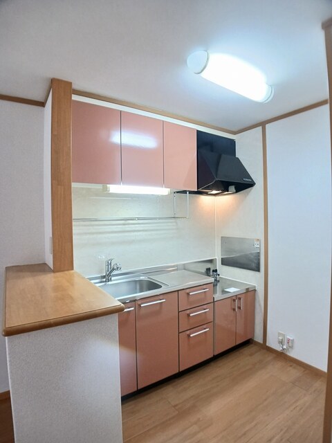 メゾン　グレイス 202 キッチン