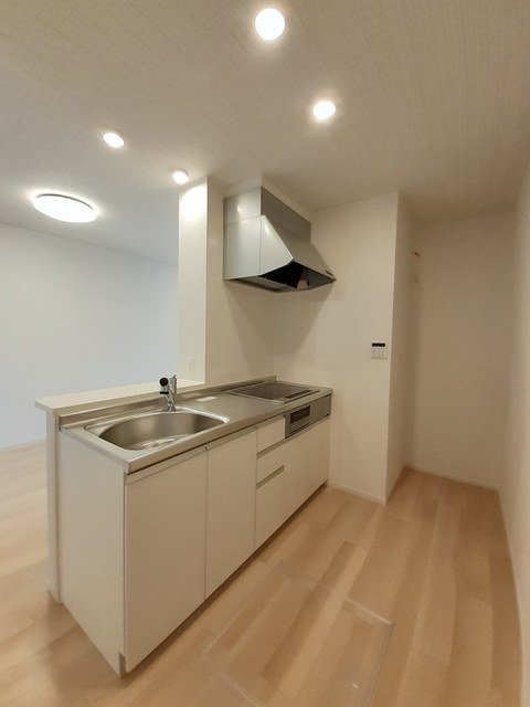 ライジングヒルズ 103 キッチン