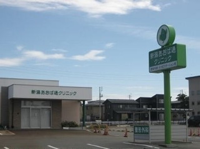 アレグリア 201 その他