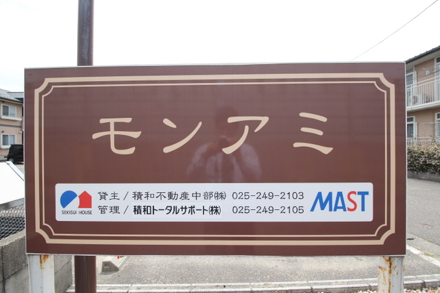 モンアミ　D 102 その他