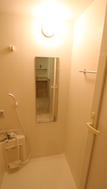 ＲＥＳＩＤＥＮＣＥ Ｈｉｌｌ Ｅａｓｔ河渡 207 浴室