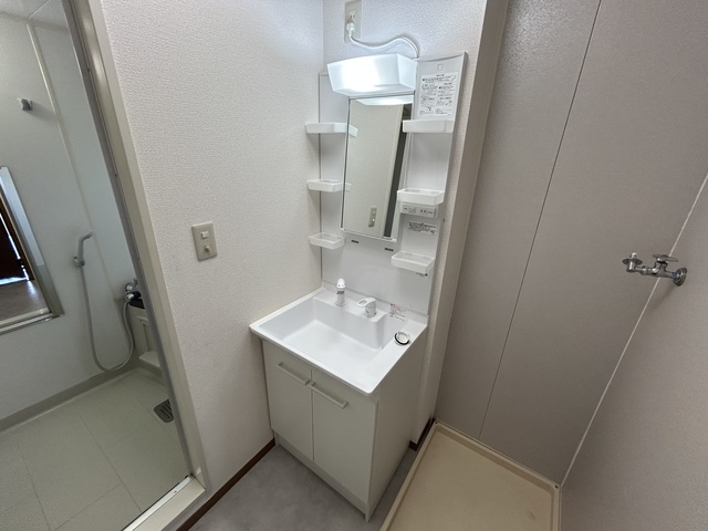 フィルコート新町　参番館 203 洗面所