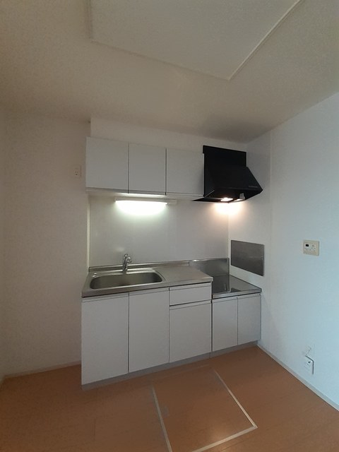 オルテンシア・Ⅰ 103 キッチン