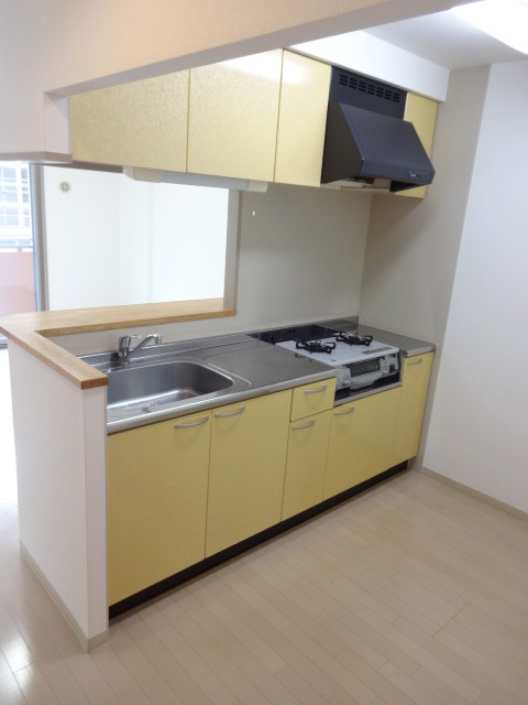 ＲＥＳＩＤＥＮＣＥ　Ｈｉｌｌ　Ｗｅｓｔ裏館 208 キッチン
