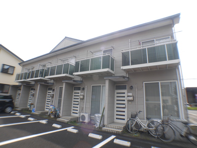 エクセラ藤