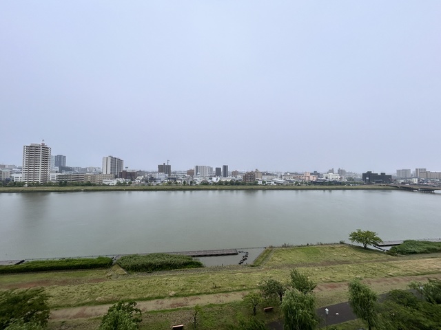 ダイアパレス川端町 902 眺望